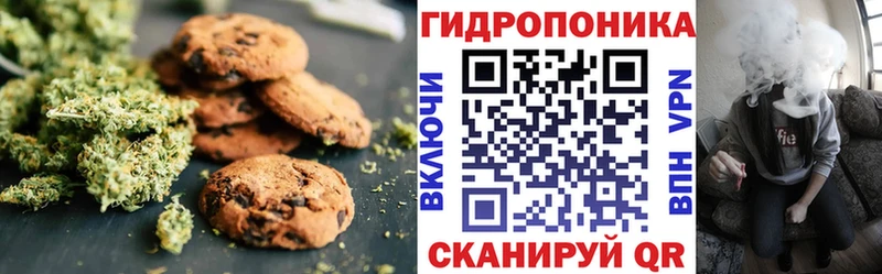 Canna-Cookies марихуана  Александровск 