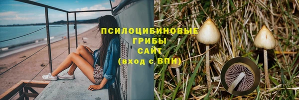 2c-b Осинники