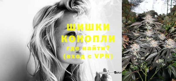 ГАЛЛЮЦИНОГЕННЫЕ ГРИБЫ Переславль-Залесский