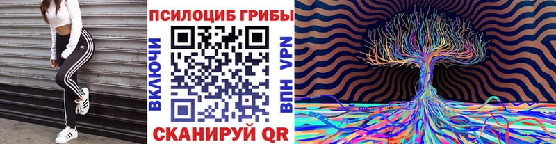 mega ONION  Александровск  Галлюциногенные грибы Psilocybine cubensis  купить закладку 